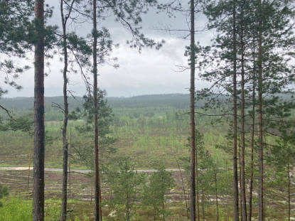 Metsakinnistute ost üle Eesti